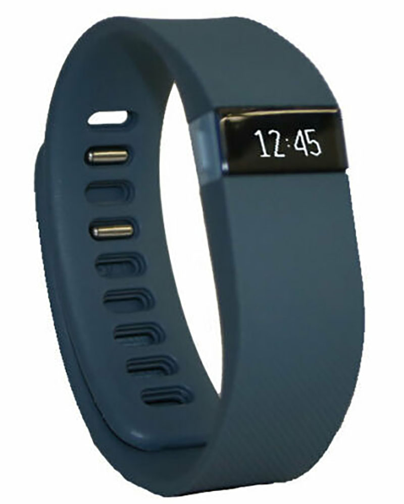 Fitbit Charge Large Slate