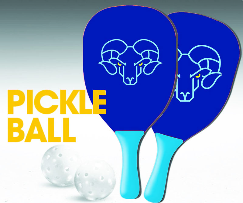 Pickle Ball Set (2 Balls & 2 Paddles)